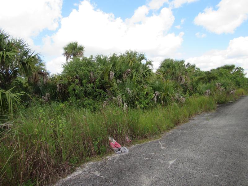 Duplex, Triplex and Fourplex Images