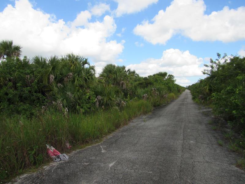 Duplex, Triplex and Fourplex Images