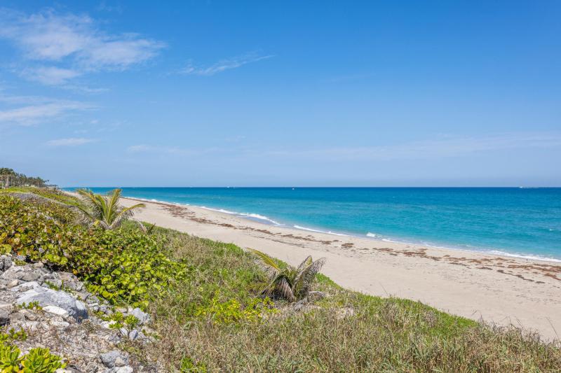  Single Family Homes Photo 22:  Palm Beach,  FL 33480