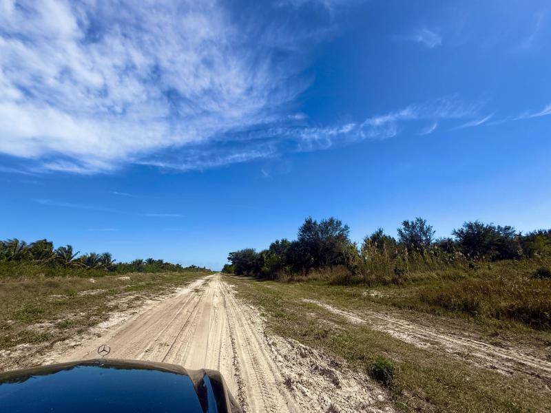 Duplex, Triplex and Fourplex Images