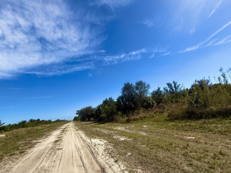 Duplex, Triplex and Fourplex Images