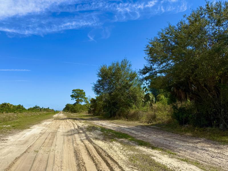 Duplex, Triplex and Fourplex Images