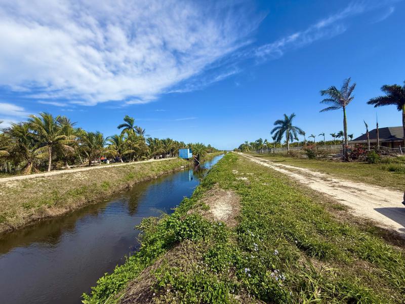 Duplex, Triplex and Fourplex Images