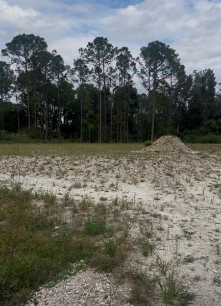 Duplex, Triplex and Fourplex Images