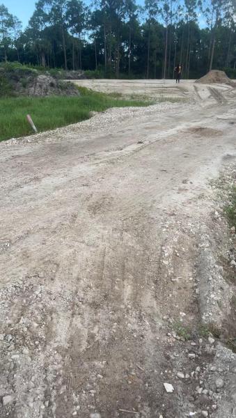 Duplex, Triplex and Fourplex Images