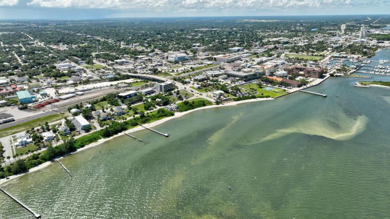 Duplex, Triplex and Fourplex Images