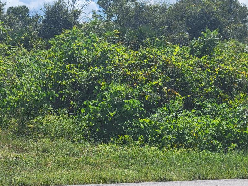  Commercial & Industrial Land Images 