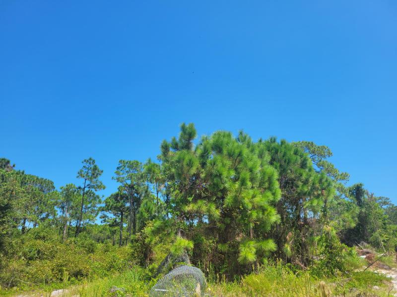  Commercial & Industrial Land Images 