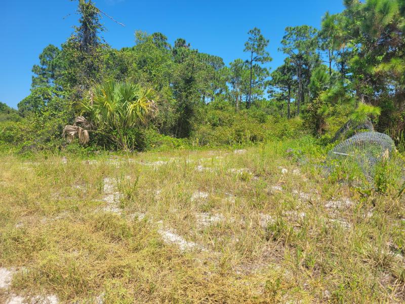  Commercial & Industrial Land Images 