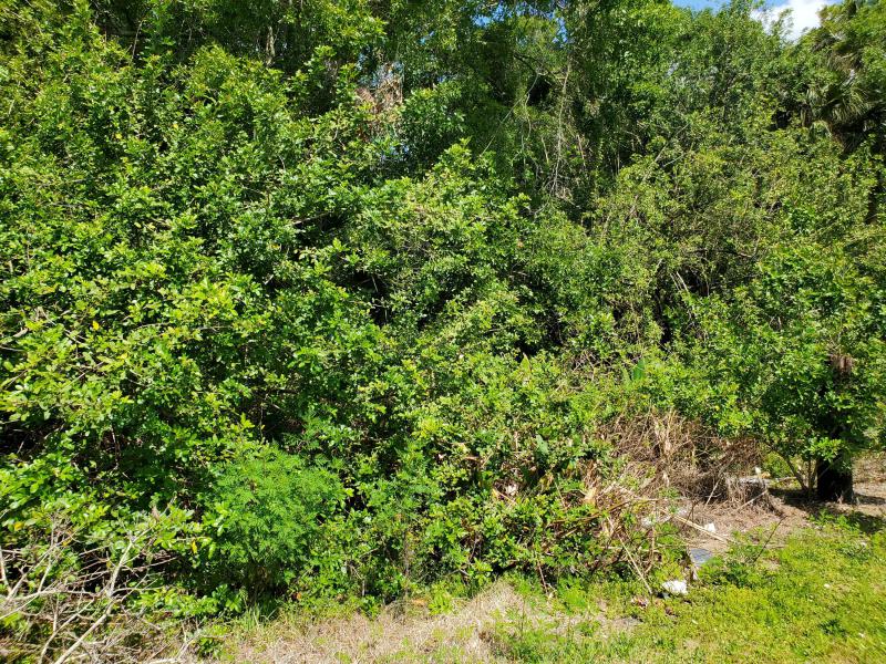 Duplex, Triplex and Fourplex Images