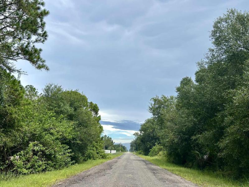 Duplex, Triplex and Fourplex Images