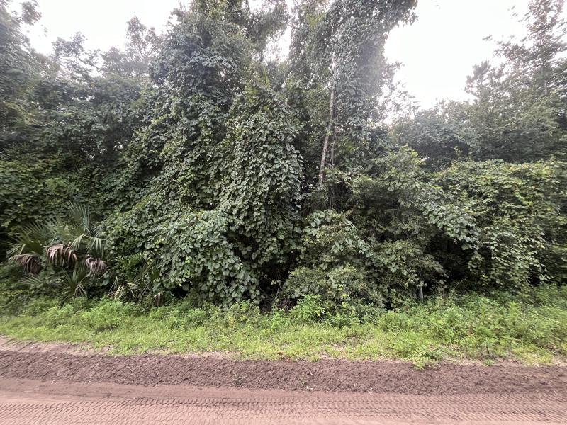 Duplex, Triplex and Fourplex Images