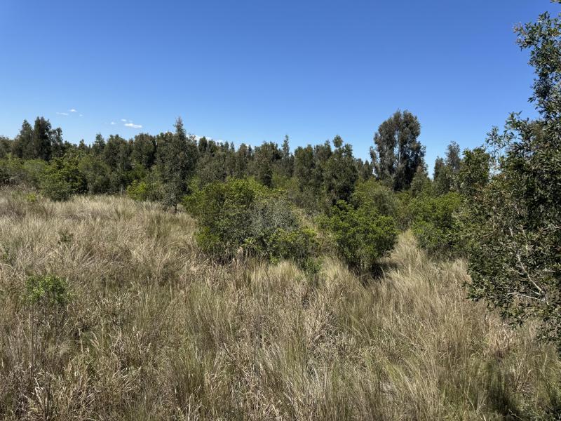  Commercial & Industrial Land Images 