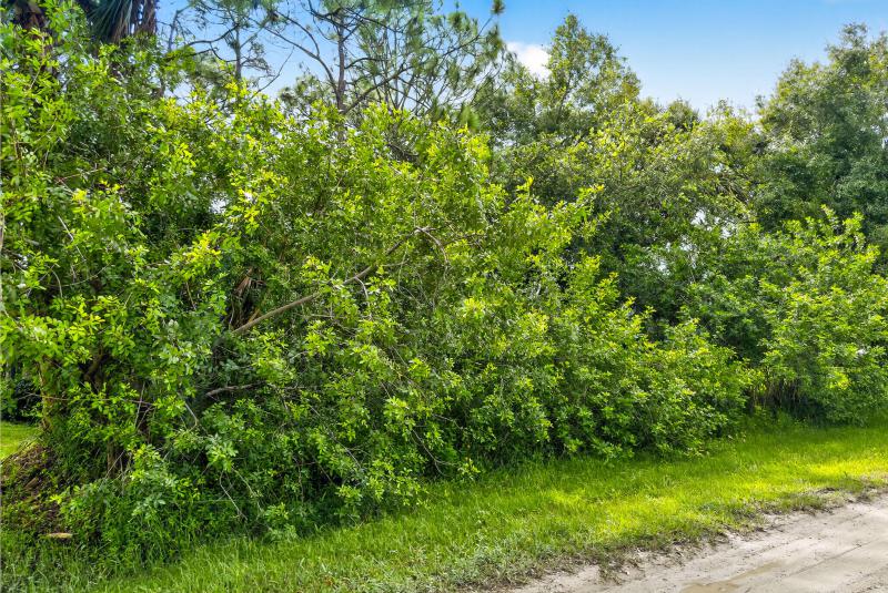 Duplex, Triplex and Fourplex Images