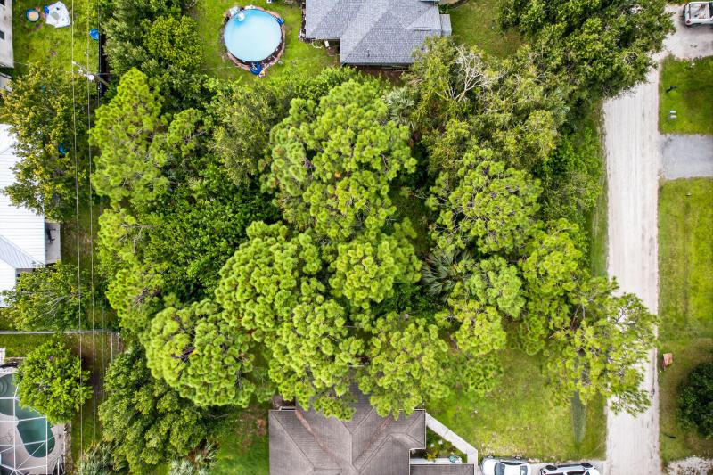 Duplex, Triplex and Fourplex Images