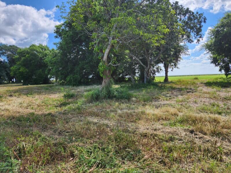  Commercial & Industrial Land Images 