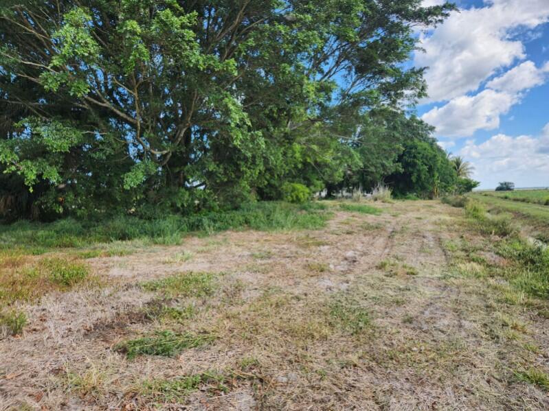  Commercial & Industrial Land Images 