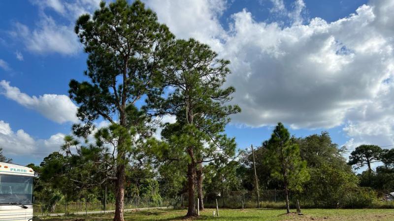 Duplex, Triplex and Fourplex Images