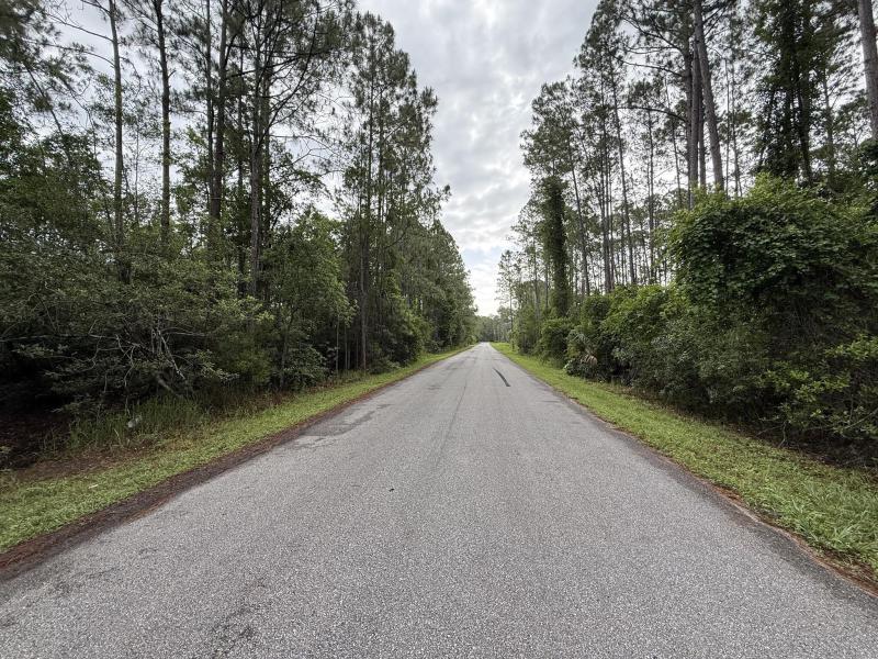 Duplex, Triplex and Fourplex Images