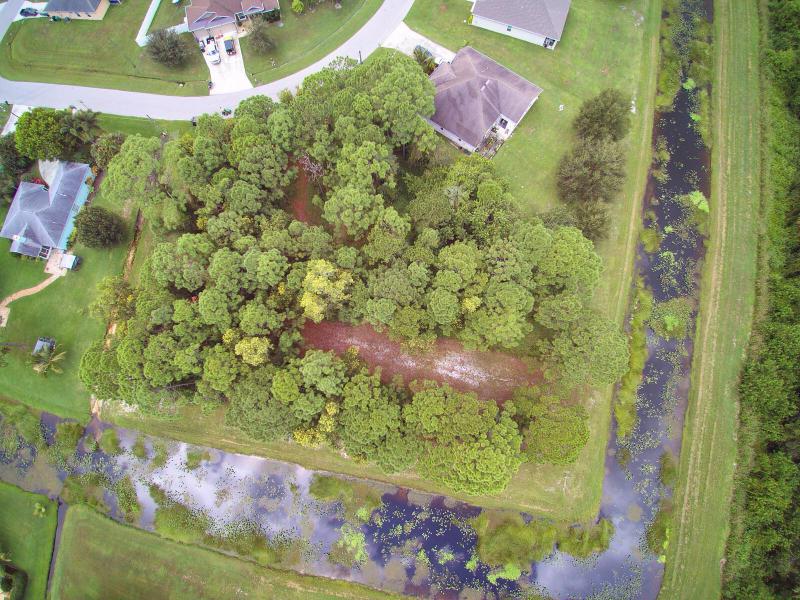 Duplex, Triplex and Fourplex Images