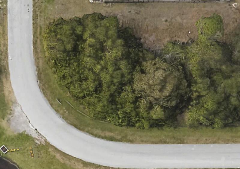 Duplex, Triplex and Fourplex Images