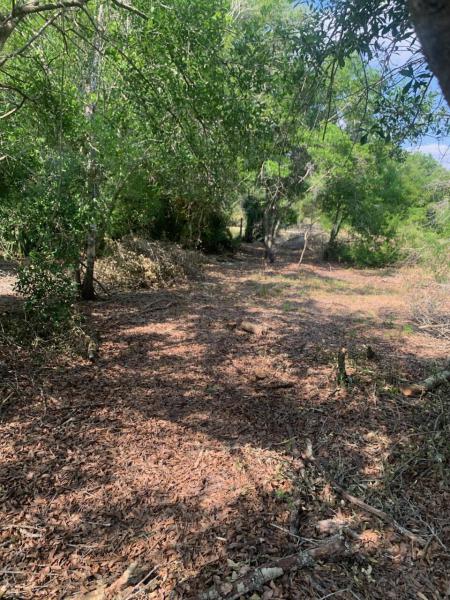 Duplex, Triplex and Fourplex Images