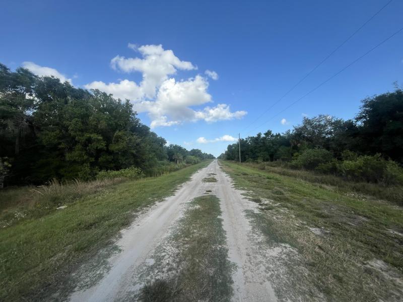 Duplex, Triplex and Fourplex Images