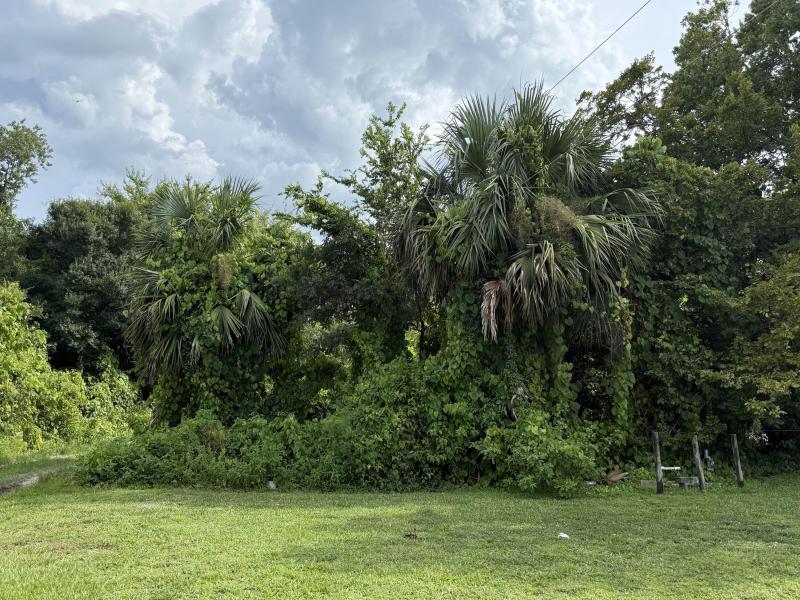 Duplex, Triplex and Fourplex Images