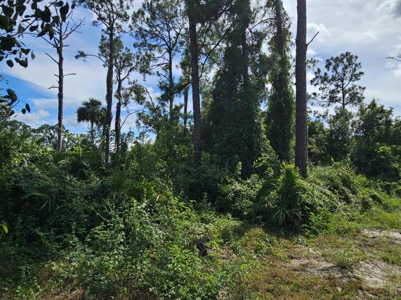 Duplex, Triplex and Fourplex Images