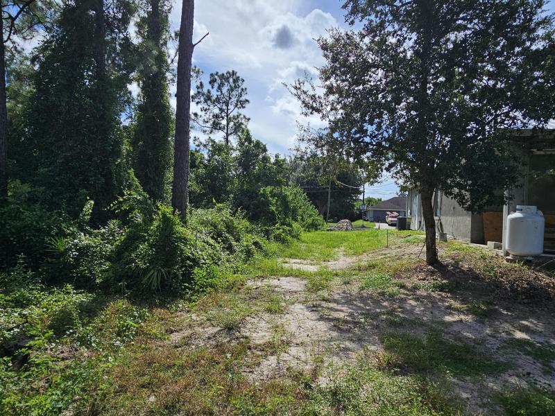 Duplex, Triplex and Fourplex Images