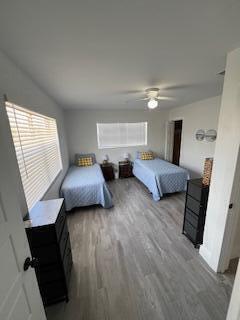 Business Opportunities Photos