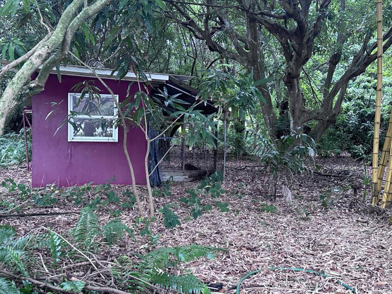 Duplex, Triplex and Fourplex Images