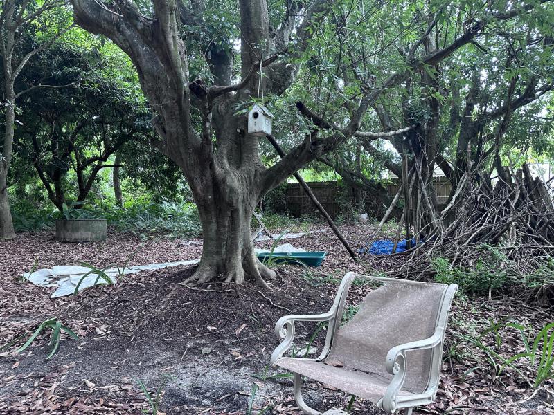 Duplex, Triplex and Fourplex Images