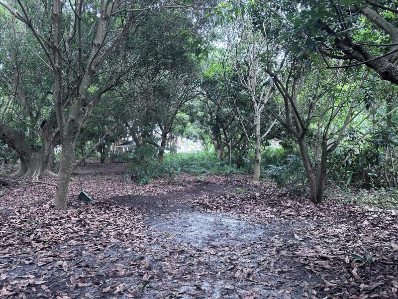 Duplex, Triplex and Fourplex Images