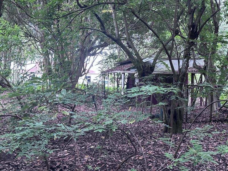 Duplex, Triplex and Fourplex Images