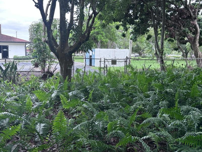 Duplex, Triplex and Fourplex Images