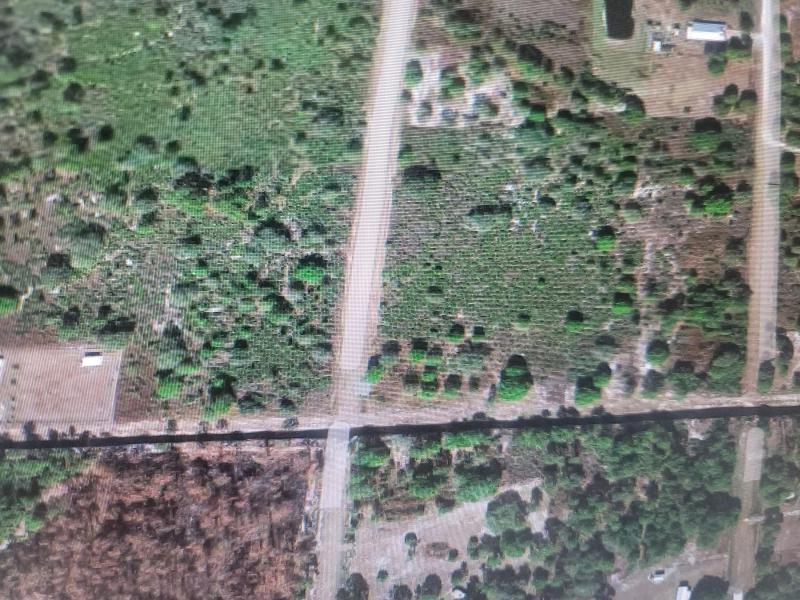 Duplex, Triplex and Fourplex Images