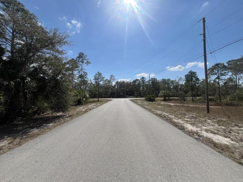 Duplex, Triplex and Fourplex Images