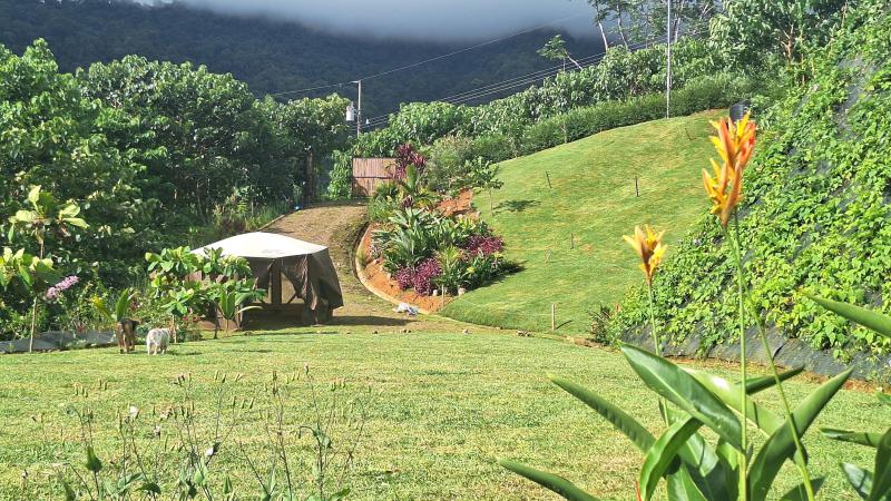 Duplex, Triplex and Fourplex Images