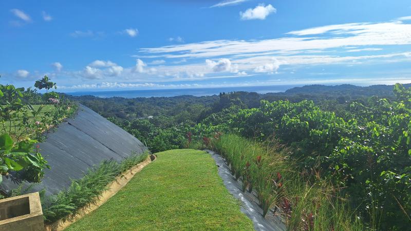 Duplex, Triplex and Fourplex Images