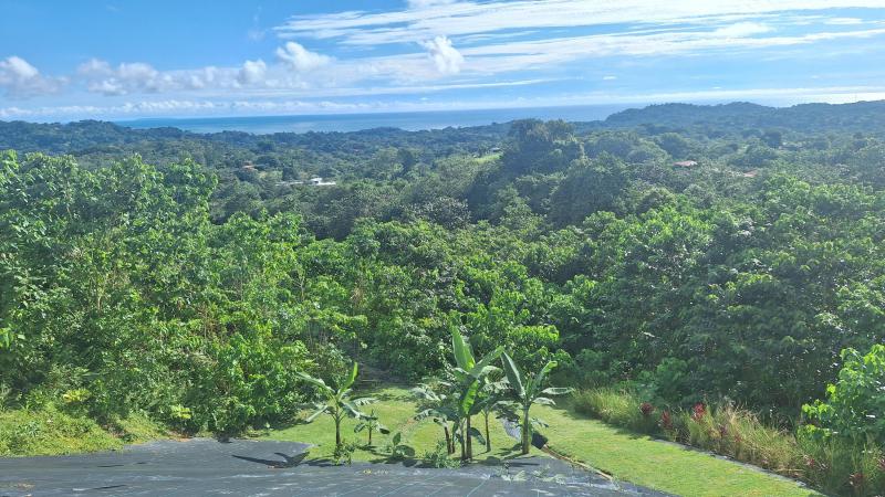 Duplex, Triplex and Fourplex Images