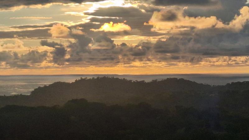 Duplex, Triplex and Fourplex Images