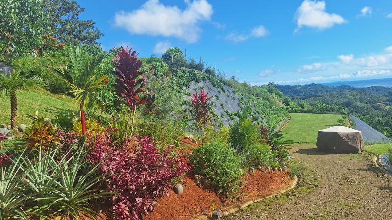 Duplex, Triplex and Fourplex Images