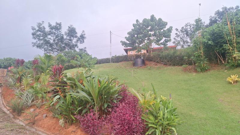 Duplex, Triplex and Fourplex Images