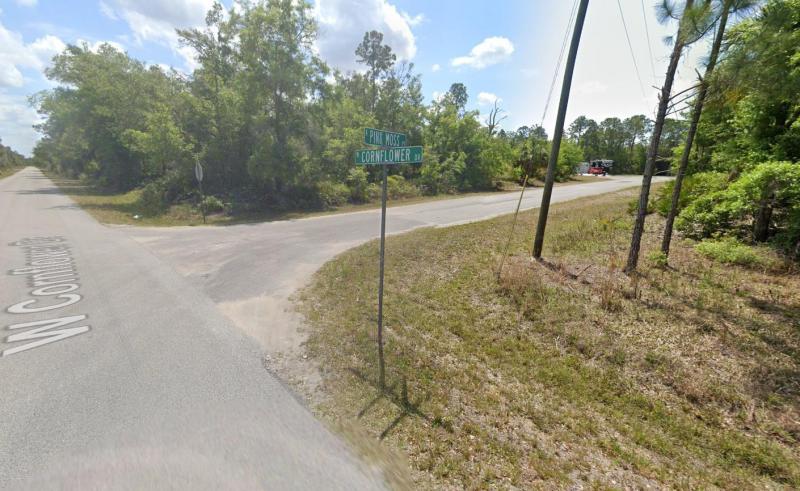 Duplex, Triplex and Fourplex Images