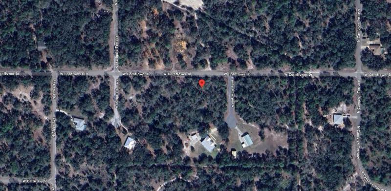 Duplex, Triplex and Fourplex Images