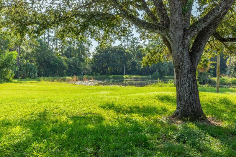  Commercial & Industrial Land Images 