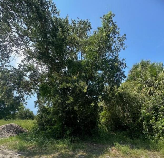  Commercial & Industrial Land Images 