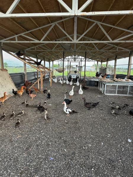  Commercial & Industrial Land Images 