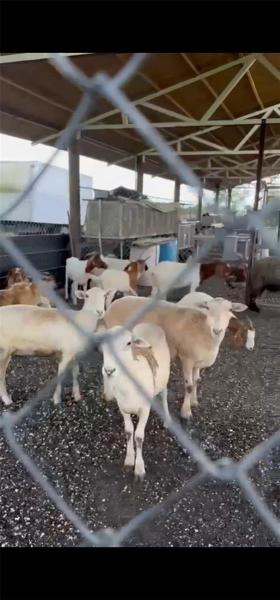  Commercial & Industrial Land Images 